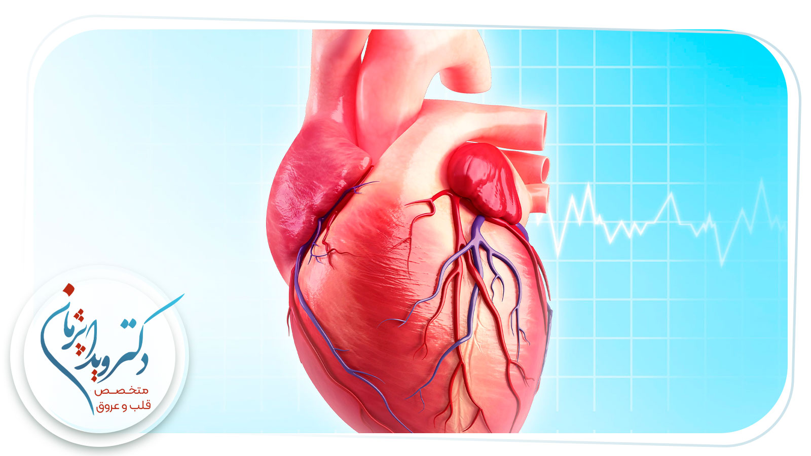 تفاوت نوار قلب با هالتر چیست؟